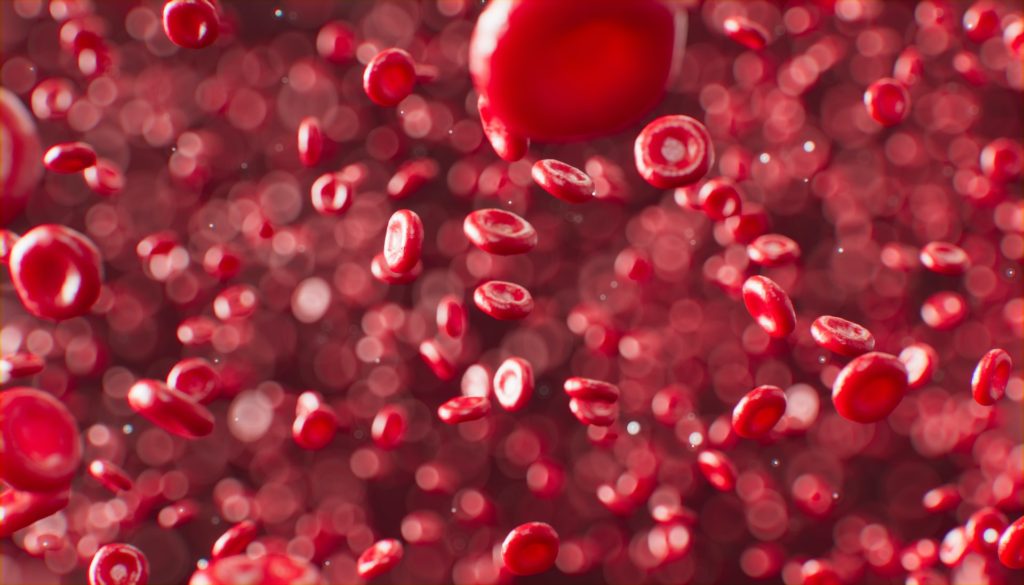 blood cells